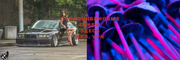 apvp Арсеньев