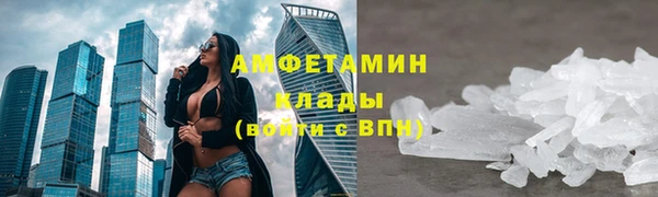 стаф Аркадак