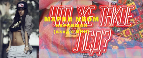 стаф Аркадак