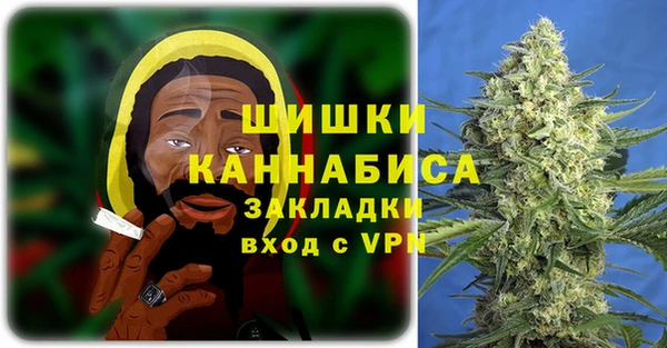 стаф Аркадак