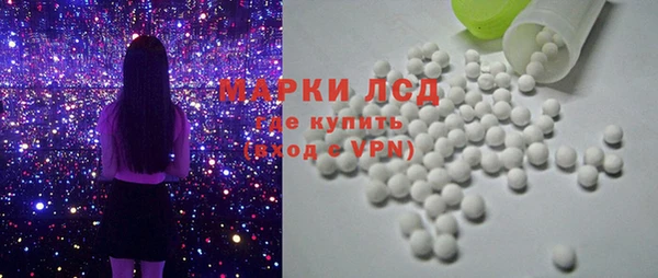 стаф Аркадак