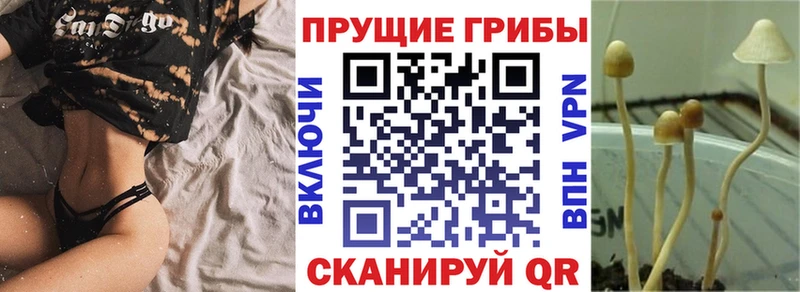 МЕГА ССЫЛКА  Буй  Псилоцибиновые грибы ЛСД 